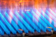 Burnrigg gas fired boilers
